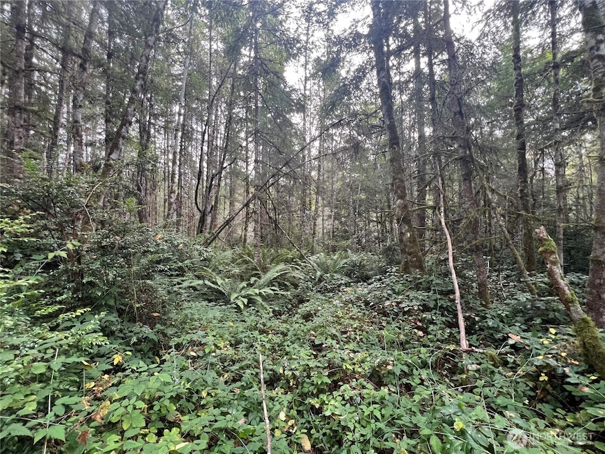 2 XX View Dr NE, Poulsbo, WA 98370 - photo 1