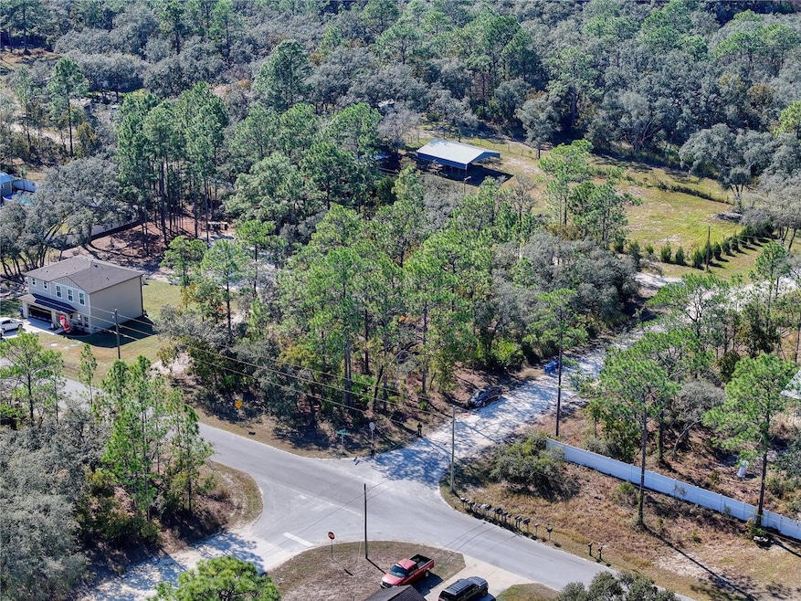 10484 Snowbird Ave, Weeki Wachee, FL 34614 - photo 1