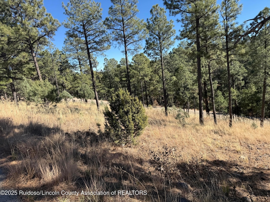 Lot 6 El Camino Dr, Alto, NM 88312 - photo 1