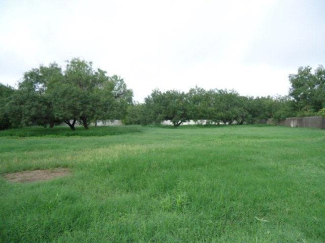 2702 Wildwood Dr, Weslaco, TX 78596 - photo 1