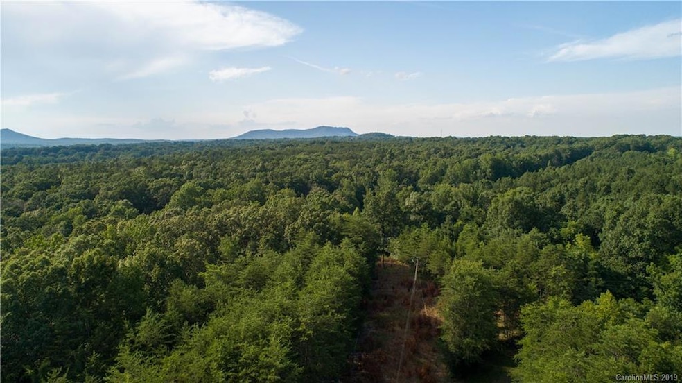 33.5 Acres Crowders Creek Rd, Gastonia, NC 28052 - photo 1