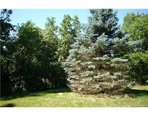 16064 Trace Branch Rd, West Fork, AR 72774 - photo 1