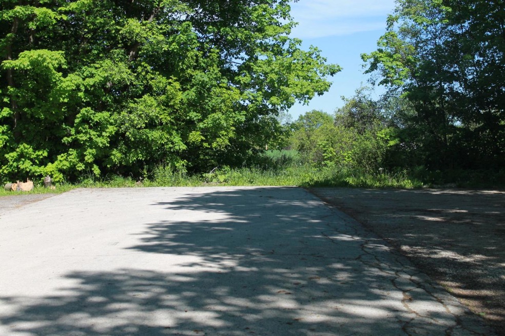Maple Drive