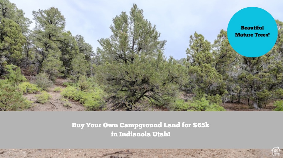 292 U S Highway 89 unit 12, Fairview, UT 84629 - photo 1