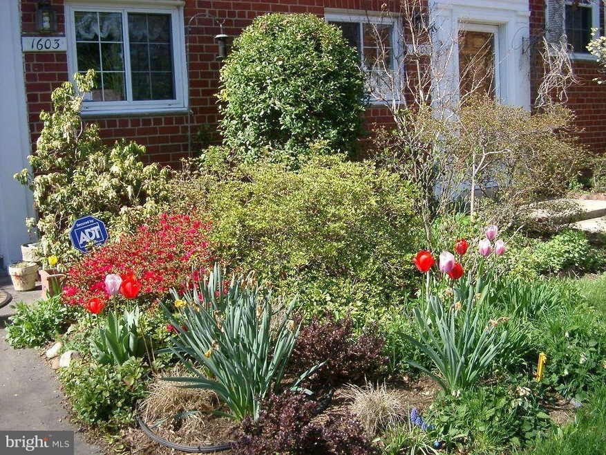 1603 Mount Eagle Place unit 939-16, Alexandria, VA 22302 - photo 1