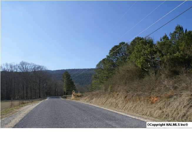 25 Spring Ave, Gadsden, AL 35901 - photo 1