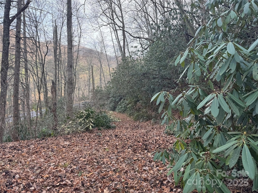 2664 N Carolina 9, Black Mountain, NC 28711 - photo 1