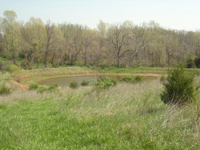Primary Photo