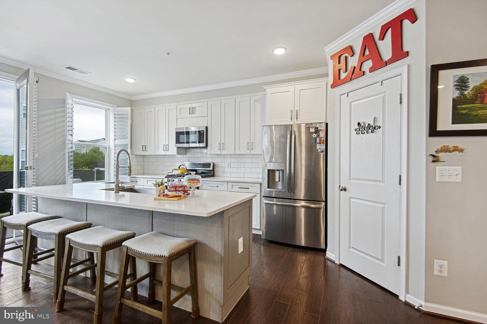 41995 White Mills Terrace, Stone Ridge, VA 20105 - photo 1