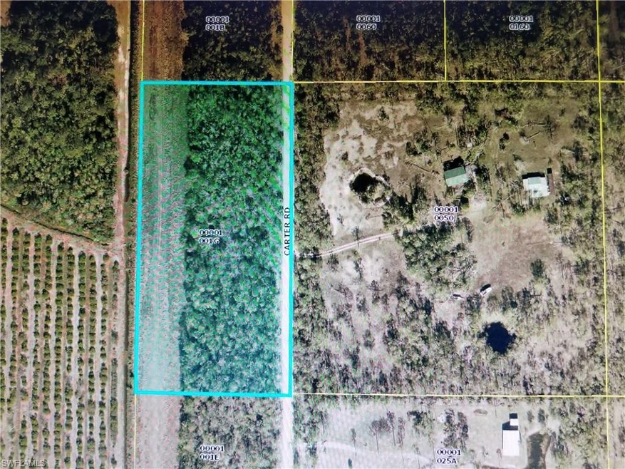 00 Carter Rd, Estero, FL 33928 - photo 1