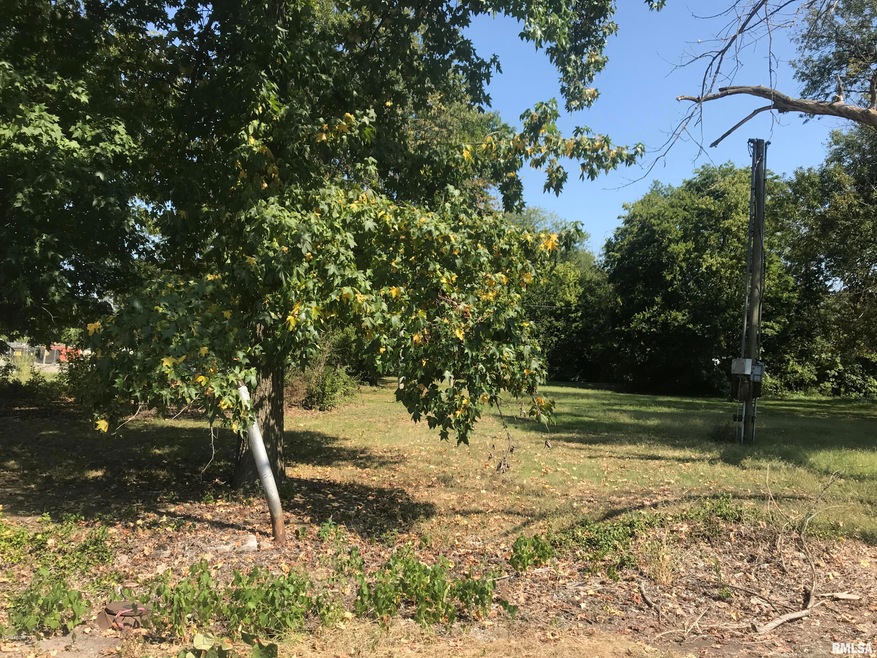 812 N Webster St, Harrisburg, IL 62946 - photo 1