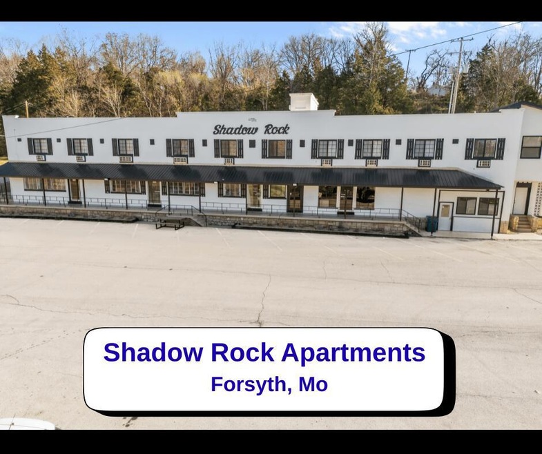 164 Forsyth-Taneyville Rd unit 21, Forsyth, MO 65653 - photo 1
