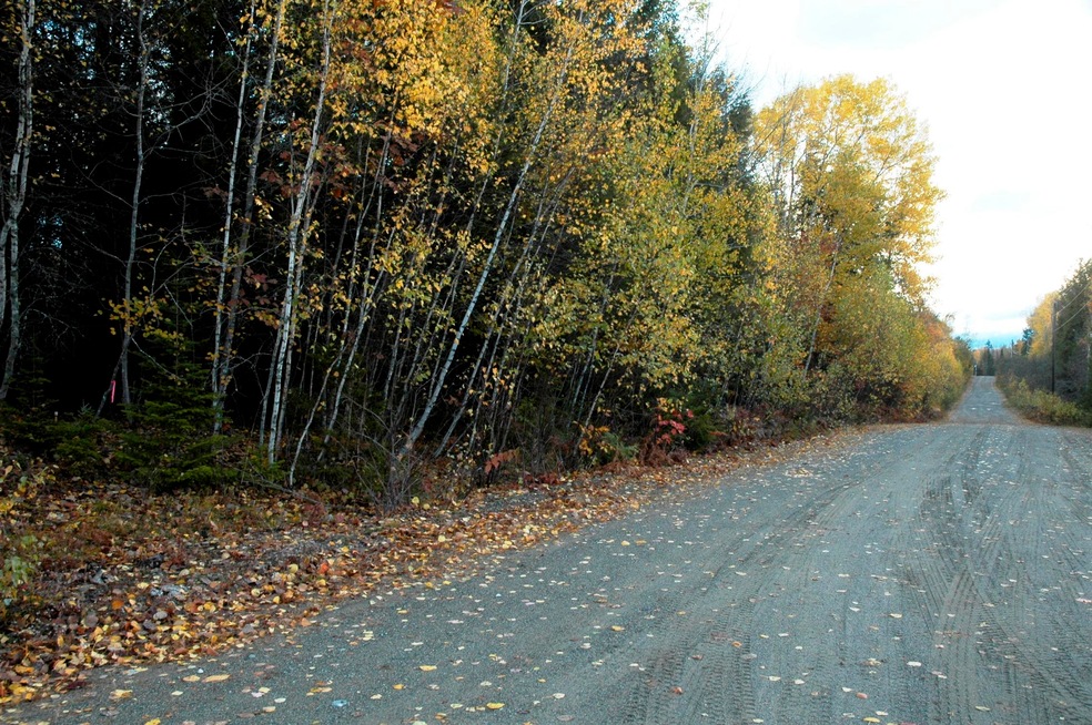 300 Ft. Of Road Frontage