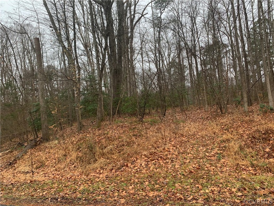 TBD N Anna Dr, Ruther Glen, VA 22546 - photo 1