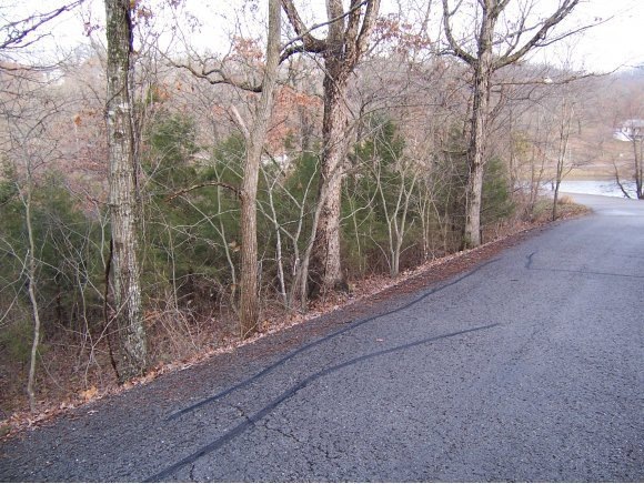 0 Irish Hills Blvd, Kimberling City, MO 65686 - photo 1