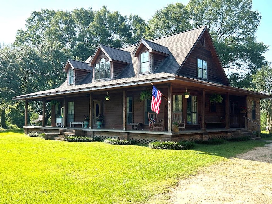 Main View