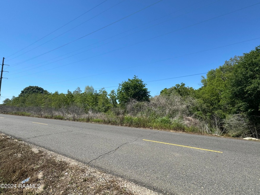 1237 Egan Hwy, Egan, LA 70531 - photo 1