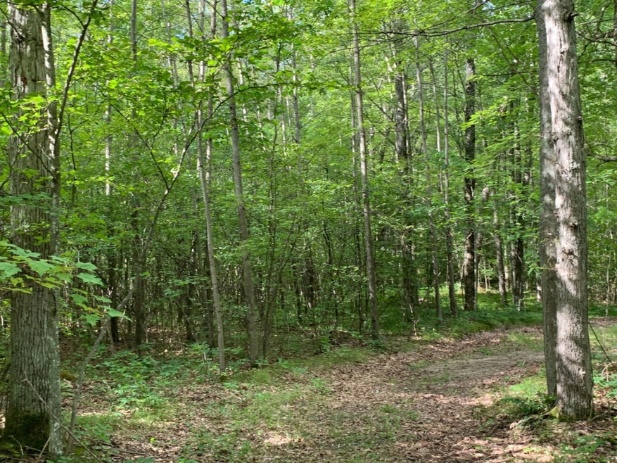 photo1
