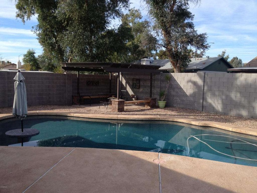 Pool and Pergola
