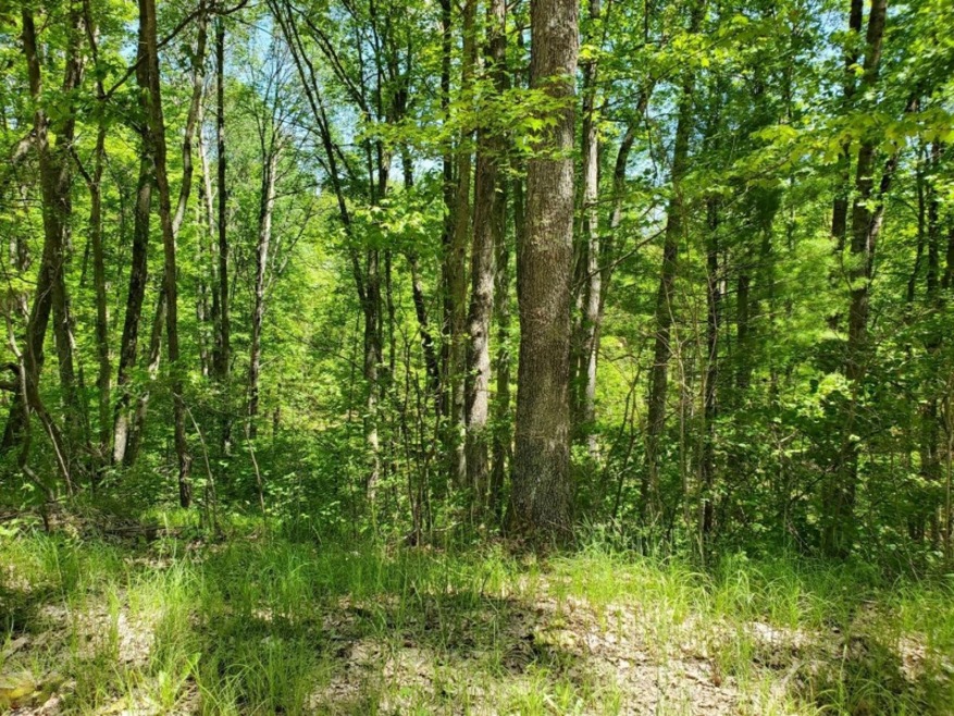 PAR 2 Grant, Bitely, MI 49309 - photo 1