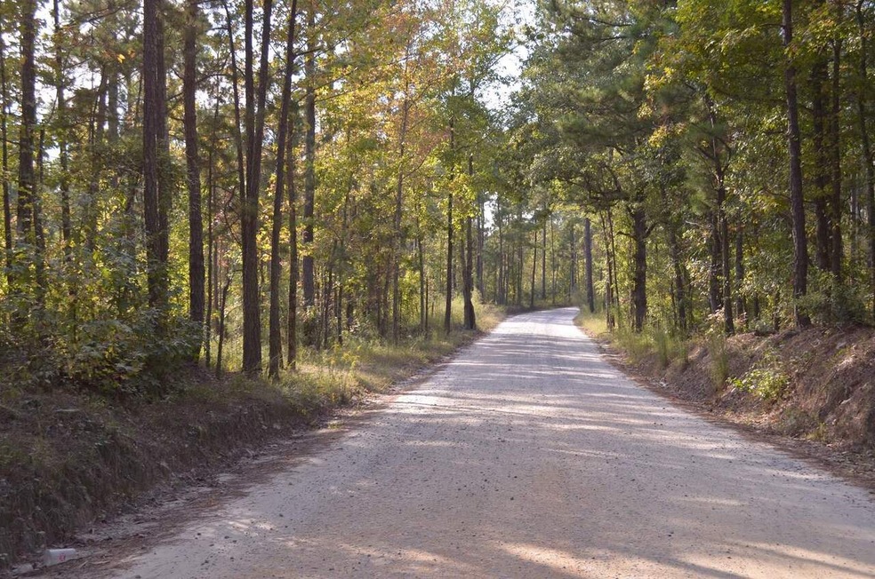 2 John Paul Rd unit Tract A, Juliette, GA 31046 - photo 1