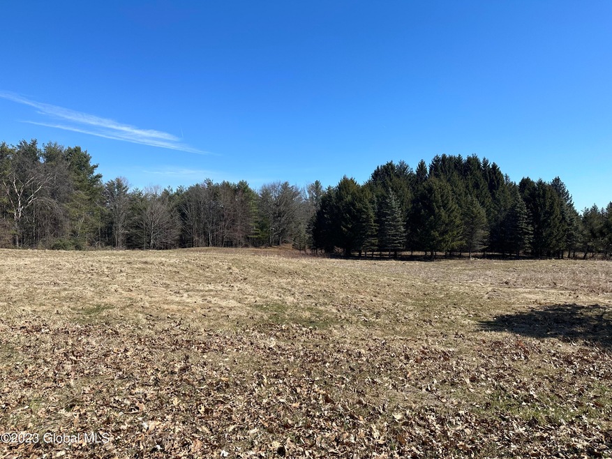 9 Font Grove Rd, Slingerlands, NY 12159 - photo 1