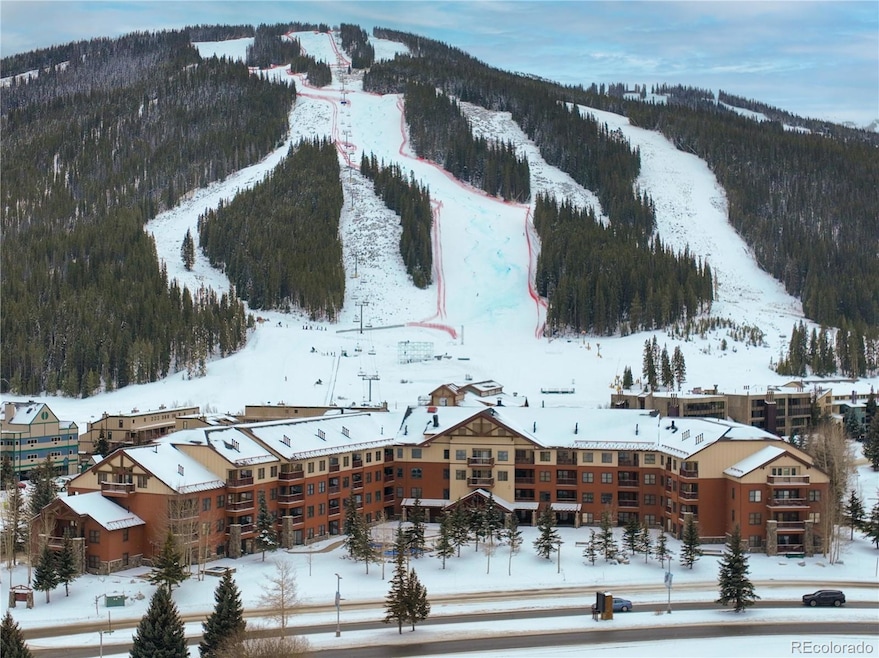 105 Wheeler Cir unit 434, Frisco, CO 80443 - photo 1