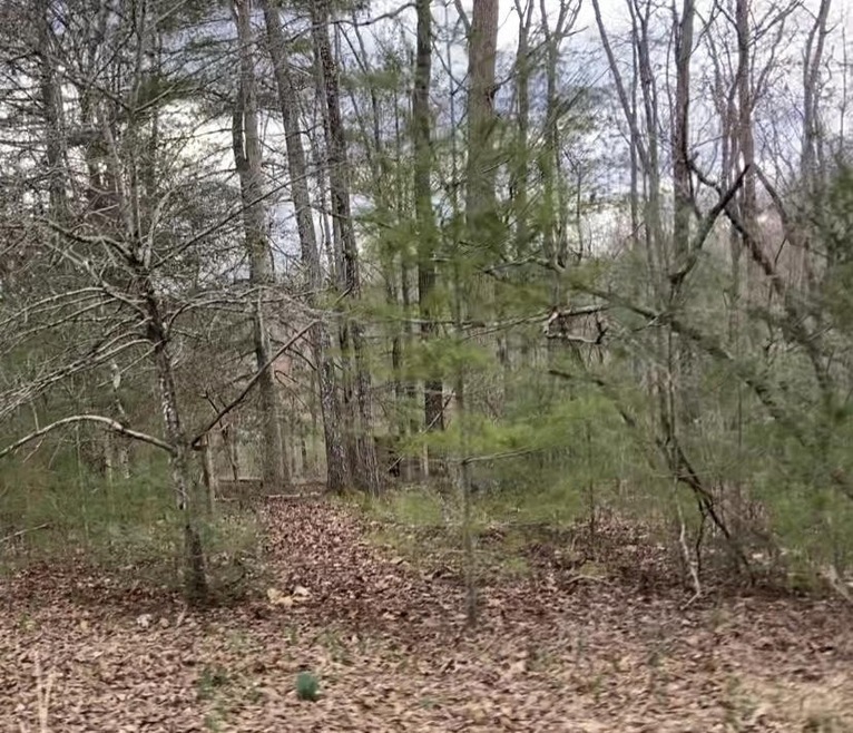 0 Morgan Cir unit RTC2912654, Crossville, TN 38555 - photo 1