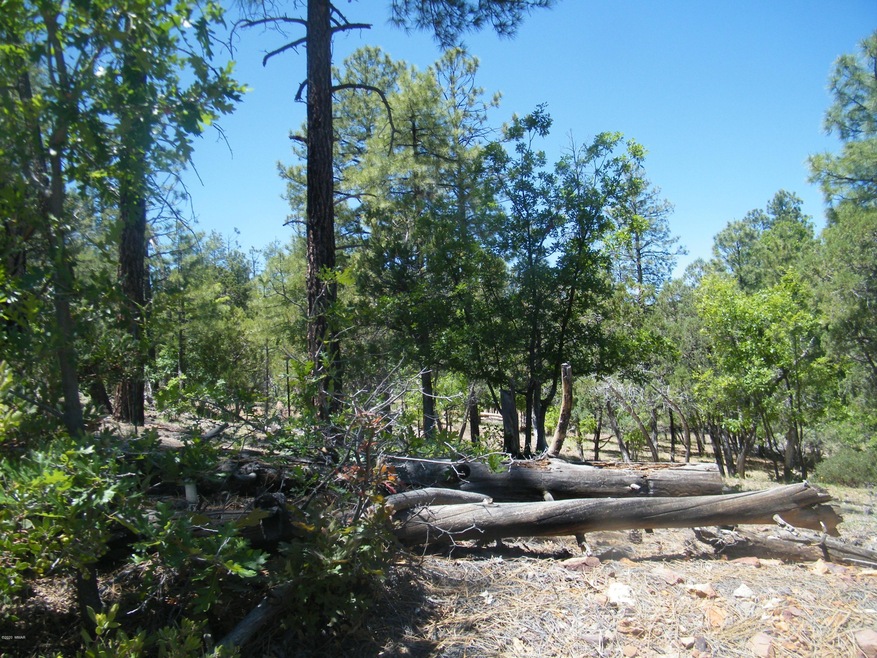 6204 N Wildcat Trail, Show Low, AZ 85901 - photo 1