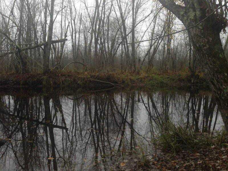 Land.