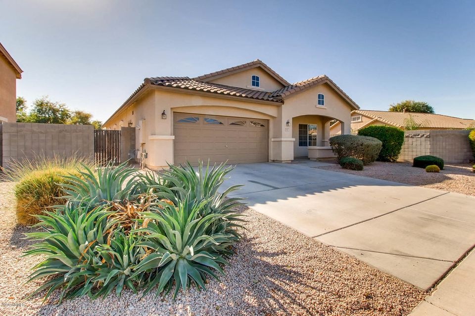 4541 E Westchester Dr Chandler-large-002
