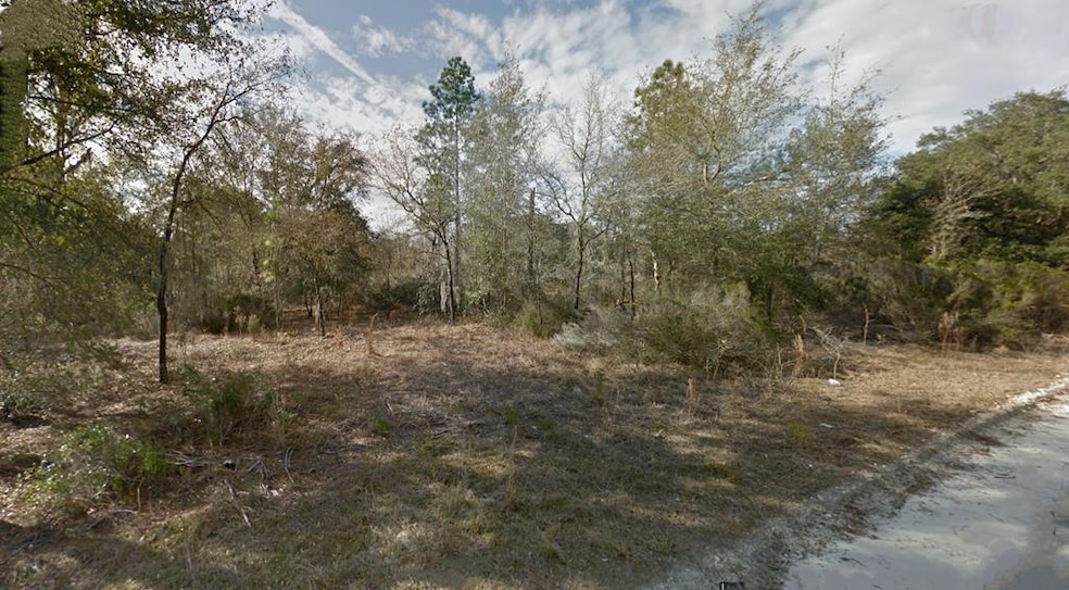 Lot 400 NE 95 St, Bronson, FL 32621 - photo 1