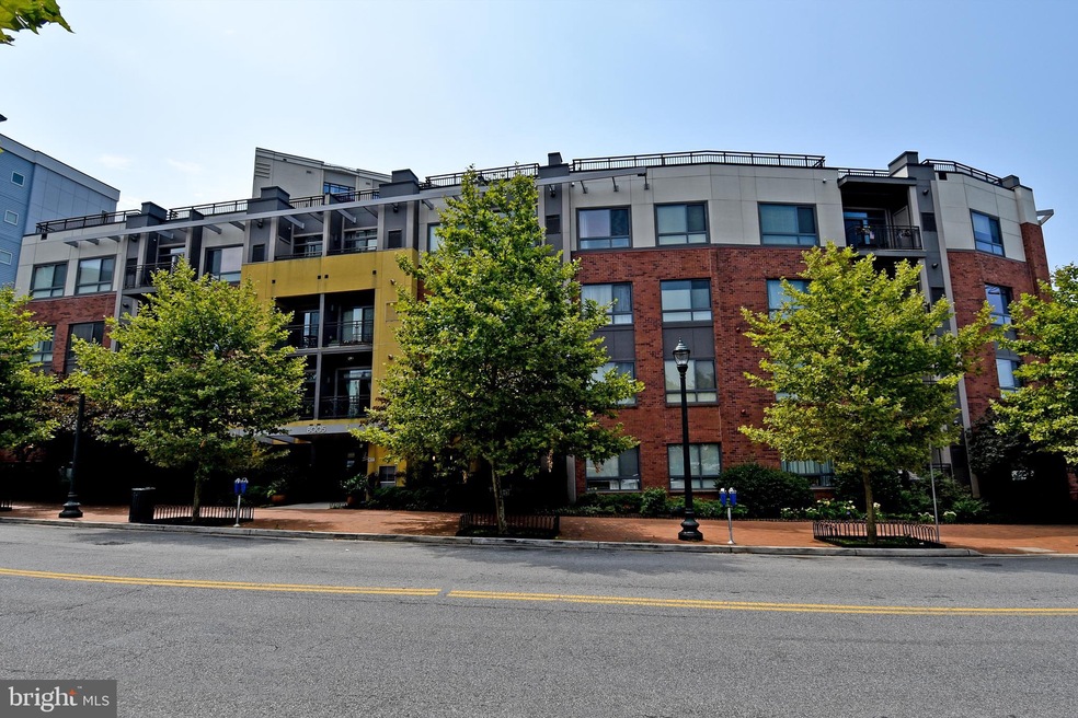 8005 13th St unit 109, Silver Spring, MD 20910 - photo 1
