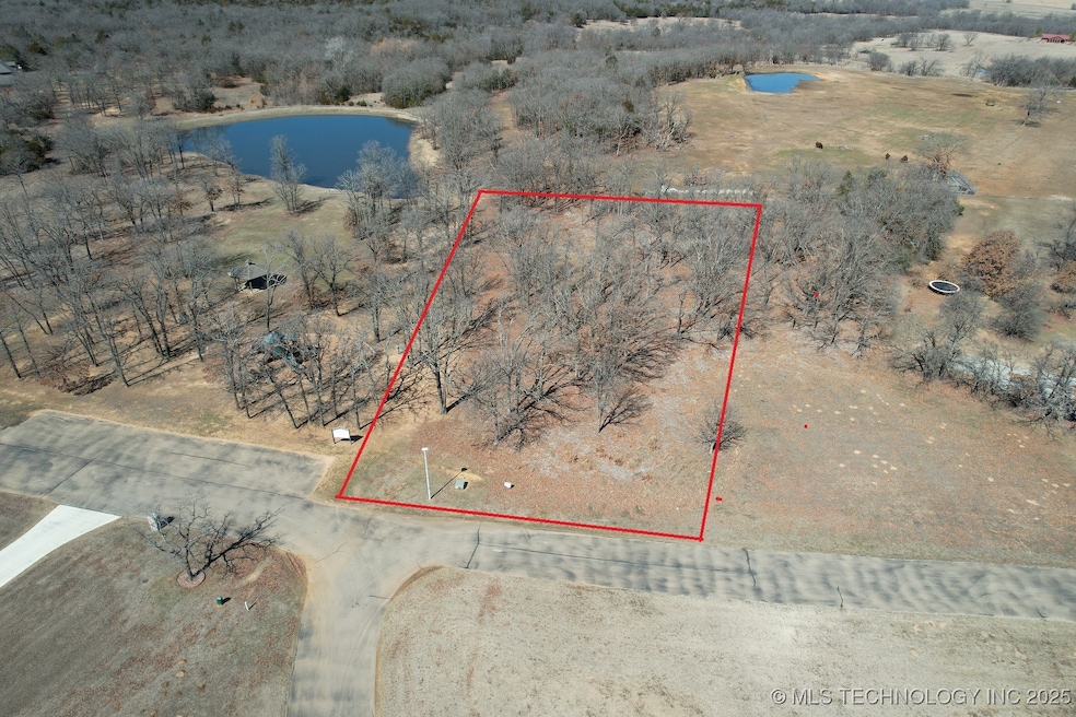 50459 N Lakeview, Pawnee, OK 74058 - photo 1