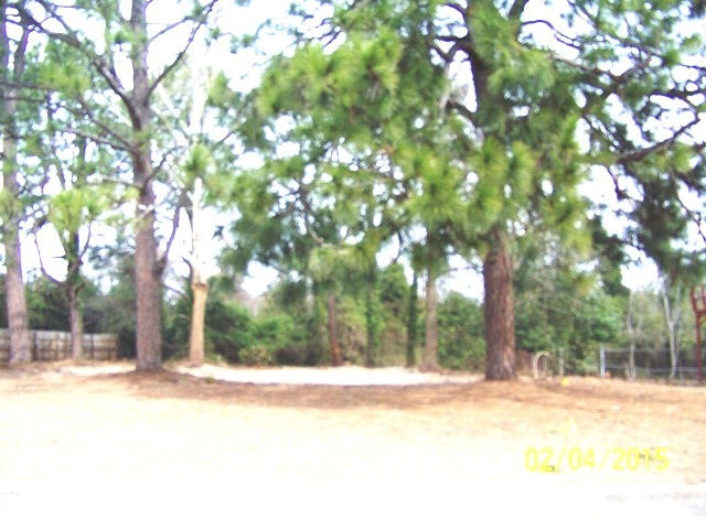 Main View