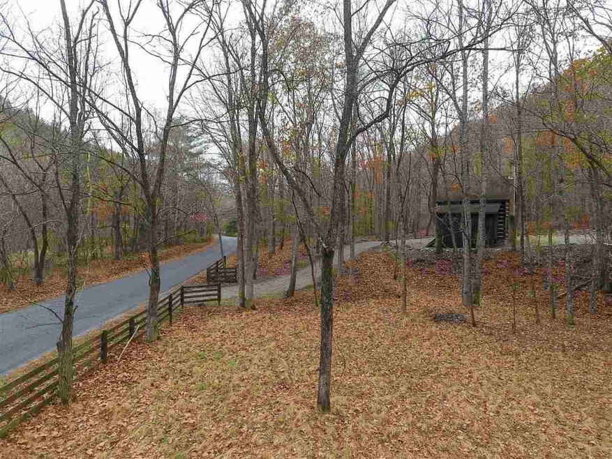 1875 Irish Creek Rd, Vesuvius, VA 24483 - photo 1