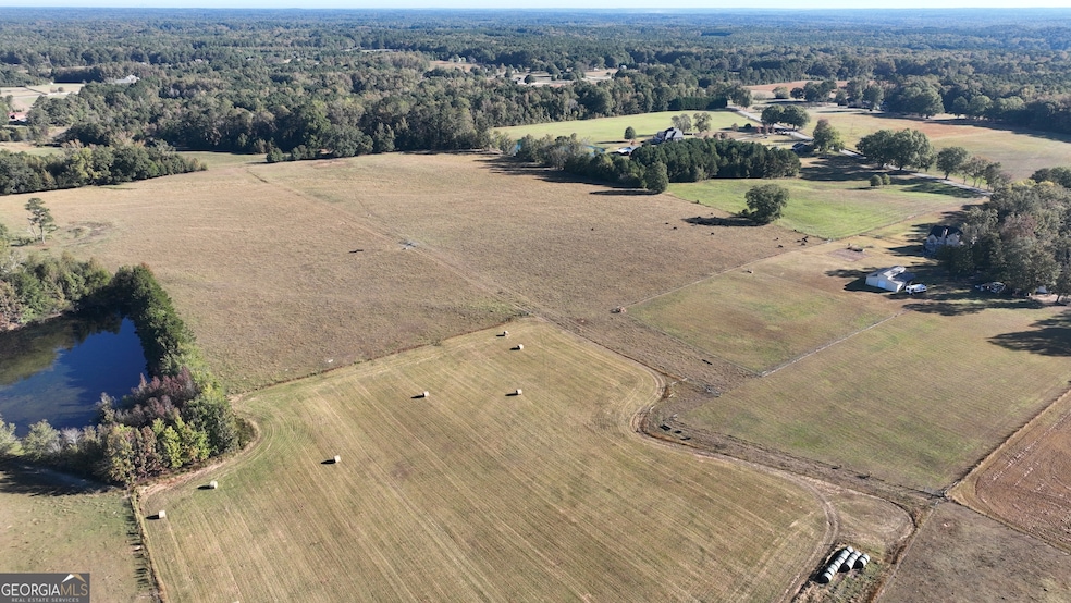 LOT 6 Mask Road - Hanner's Farm N, Brooks, GA 30205 - photo 1