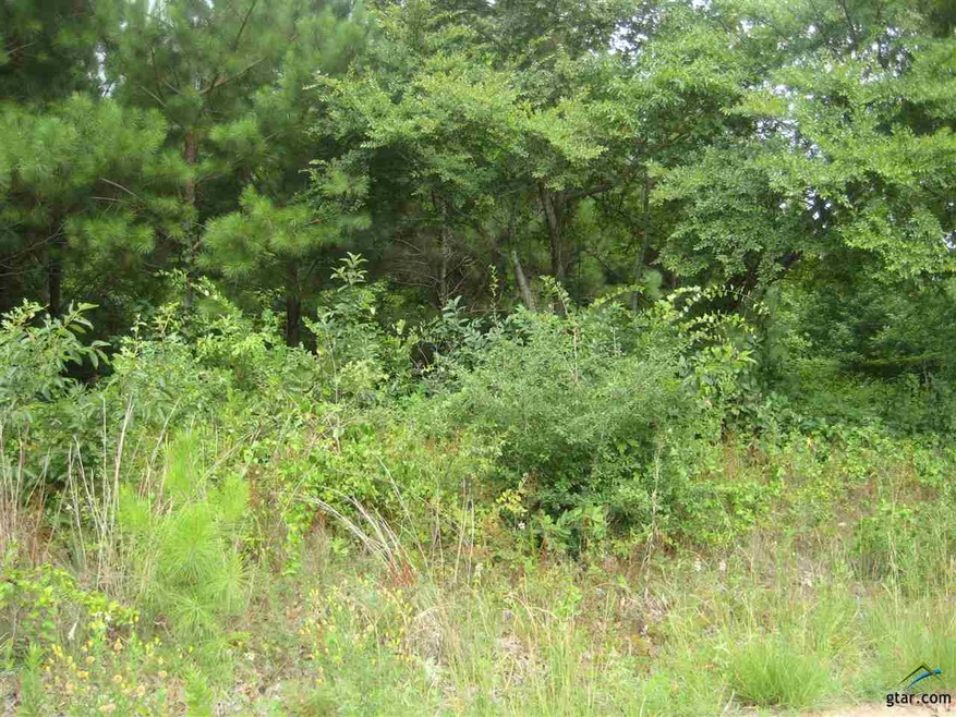 0000 Farm To Market Road 850, Arp, TX 75750 - photo 1