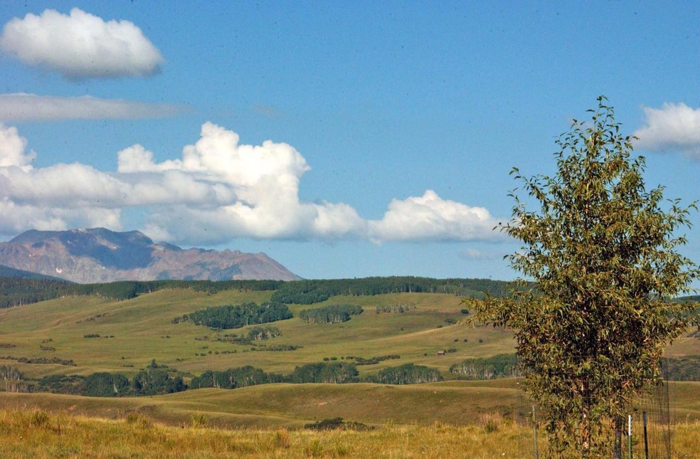 View to West