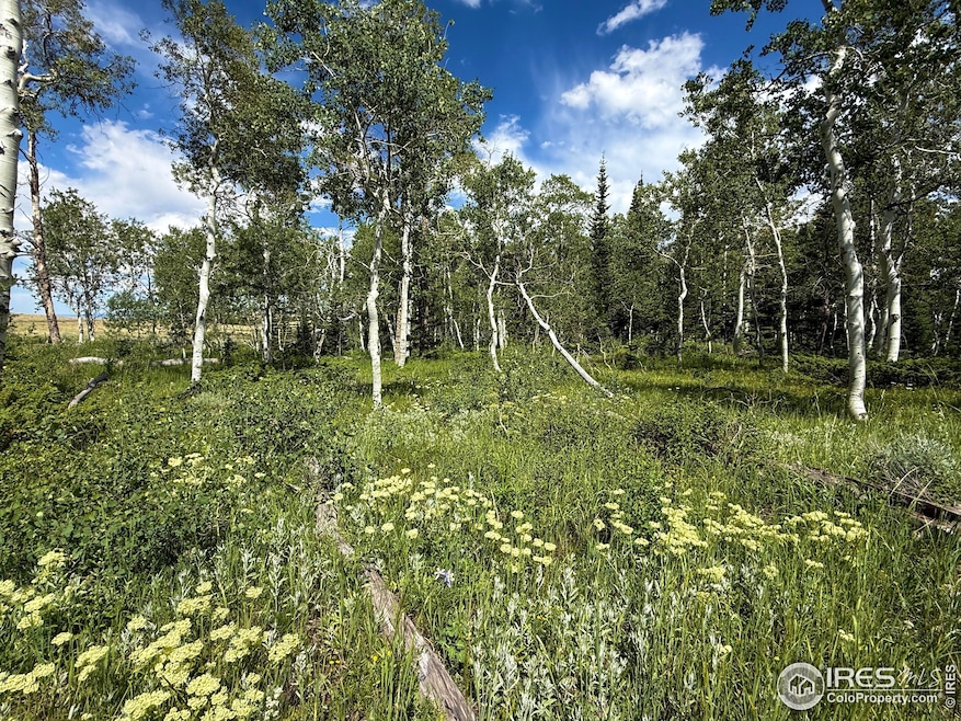 Under Contract $165,000 • Co-Listing Agent