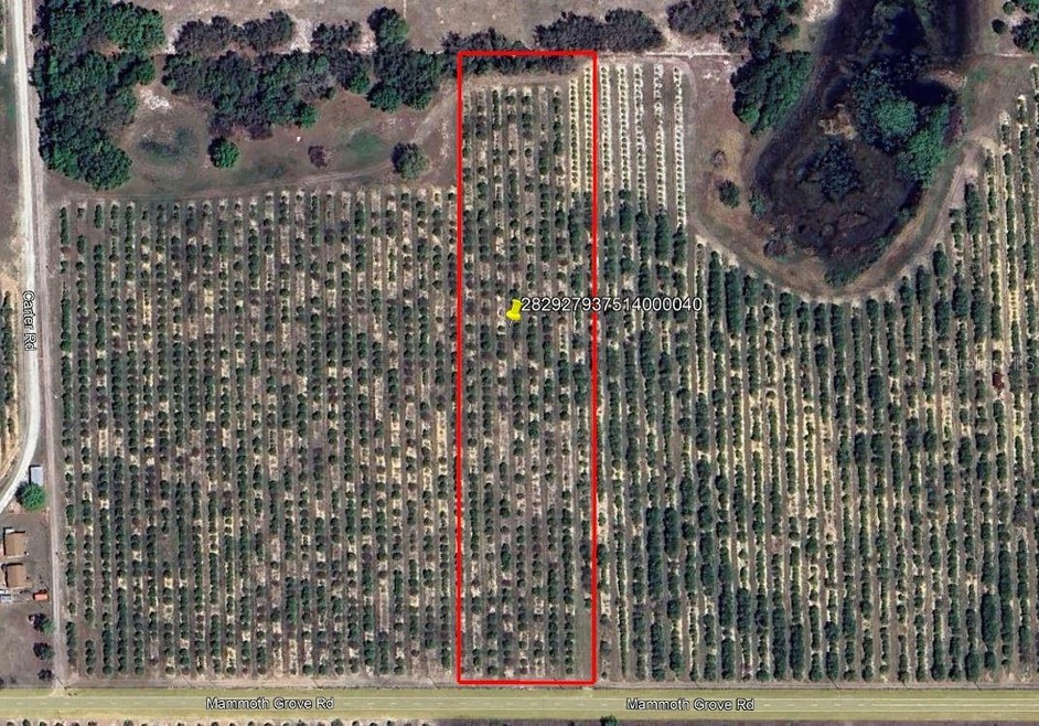 0 Mammoth Grove Rd unit MFRP4935048, Lake Wales, FL 33898 - photo 1