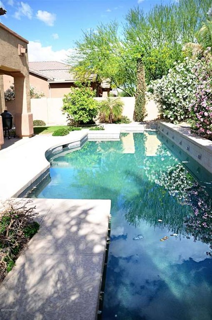 Large Play/Lap Pool