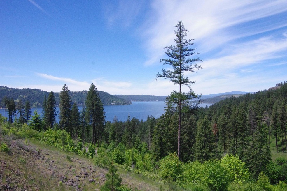 Lt 3 Blk 2 Promontory, Harrison, ID 83833 - photo 1