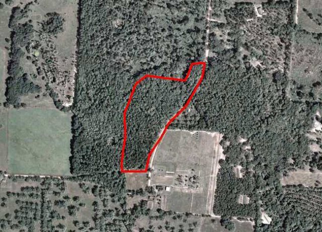 0000 17 Acres Nesbitt Rd, Pavo, GA 31778 - photo 1