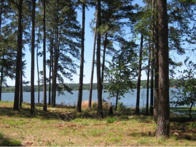 Lt 1 The County Road 755, Nacogdoches, TX 75964 - photo 1