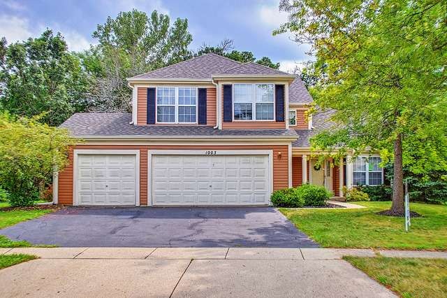 1003 York Cir, Carpentersville, IL 60110 - photo 1