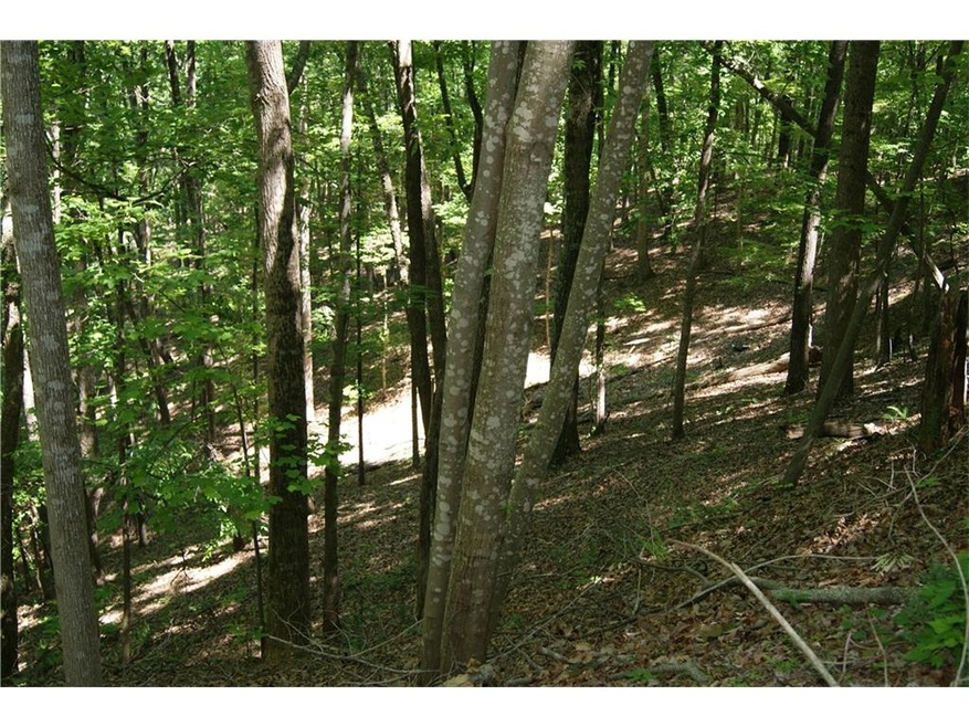 72 Geyser Ct, Ranger, GA 30734 - photo 1