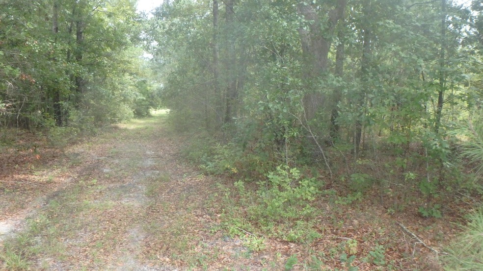 P9090027