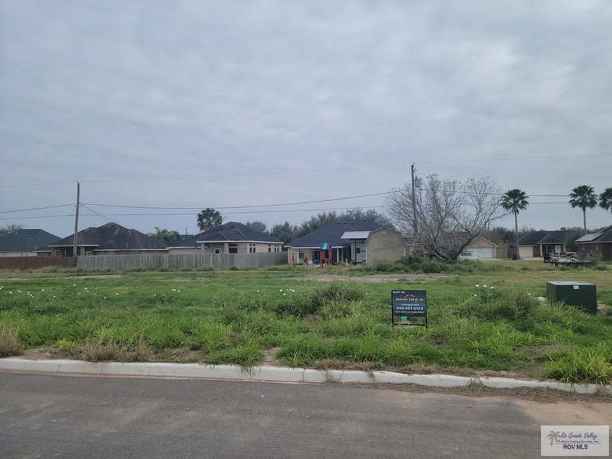 Phase 3 Seguin Dr unit 10, Weslaco, TX 78599 - photo 1