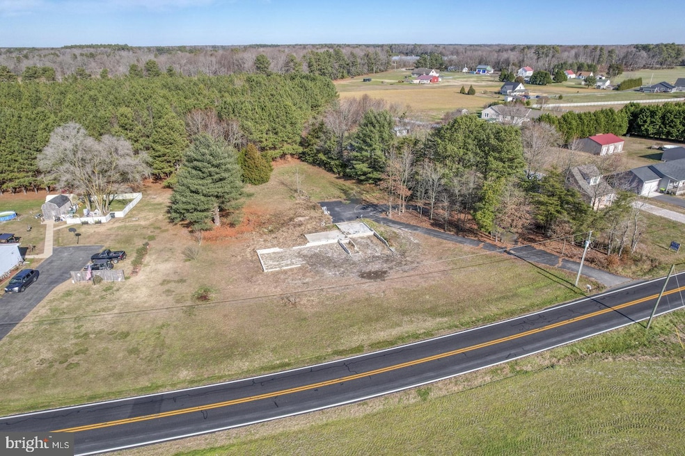 20471 W Piney Grove Rd, Georgetown, DE 19947 - photo 1